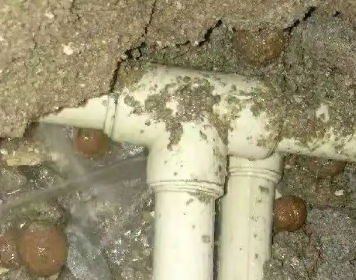 乌马河测漏水多少钱