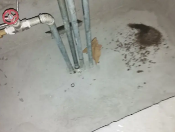 乌马河卫生间测漏水价格明细